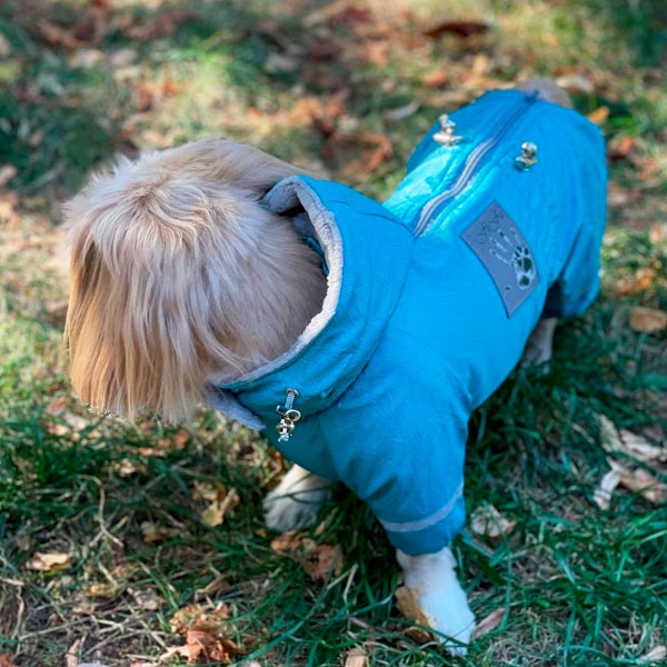 Комбинезон Единство велсофт без силикона (мальчик)  -  Одежда для собак -   Размер одежды S1  
