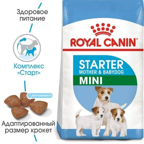 Royal Canin MINI STARTER для для годуючих сук і цуценят дрібних порід  -  Сухий корм для собак -   Вага упаковки: 5,01 - 9,99 кг  