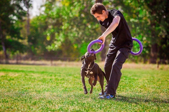 Тренировочный снаряд Пуллер  - Игрушки для собак