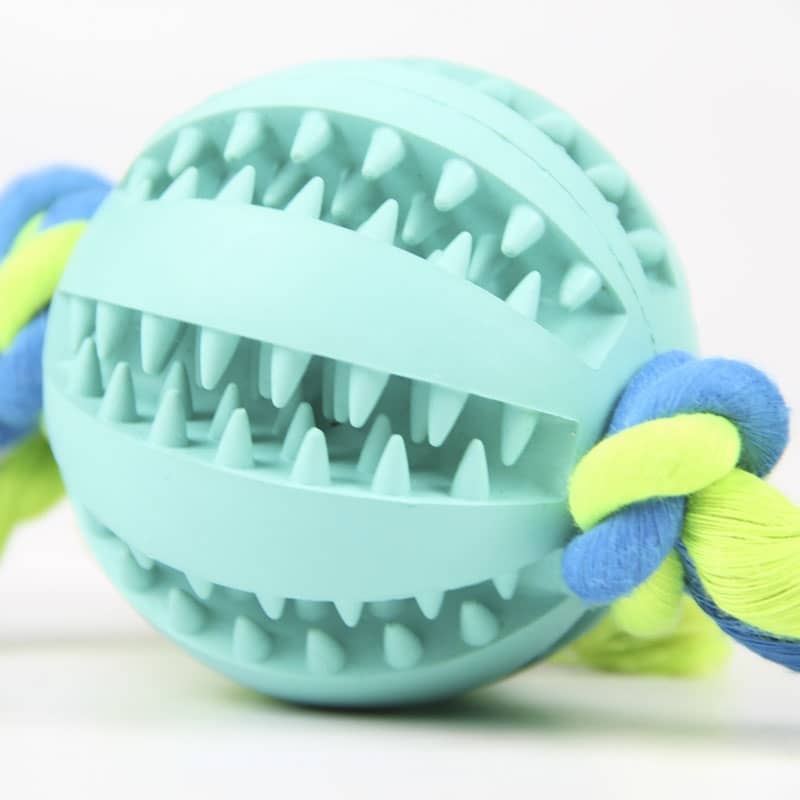 Канат цветной двухузловой с дентал мячом для собак  - Игрушки для собак