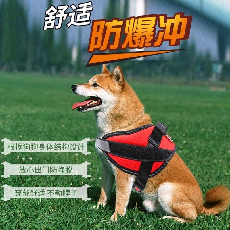 Шлея К9 L 65-75 см  -  Шлеи для собак - Китай     