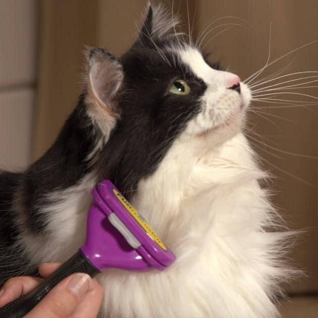 FURminator з кнопкою для котів з довгою шерстю  - Інструменти для грумінгу котів та кішок