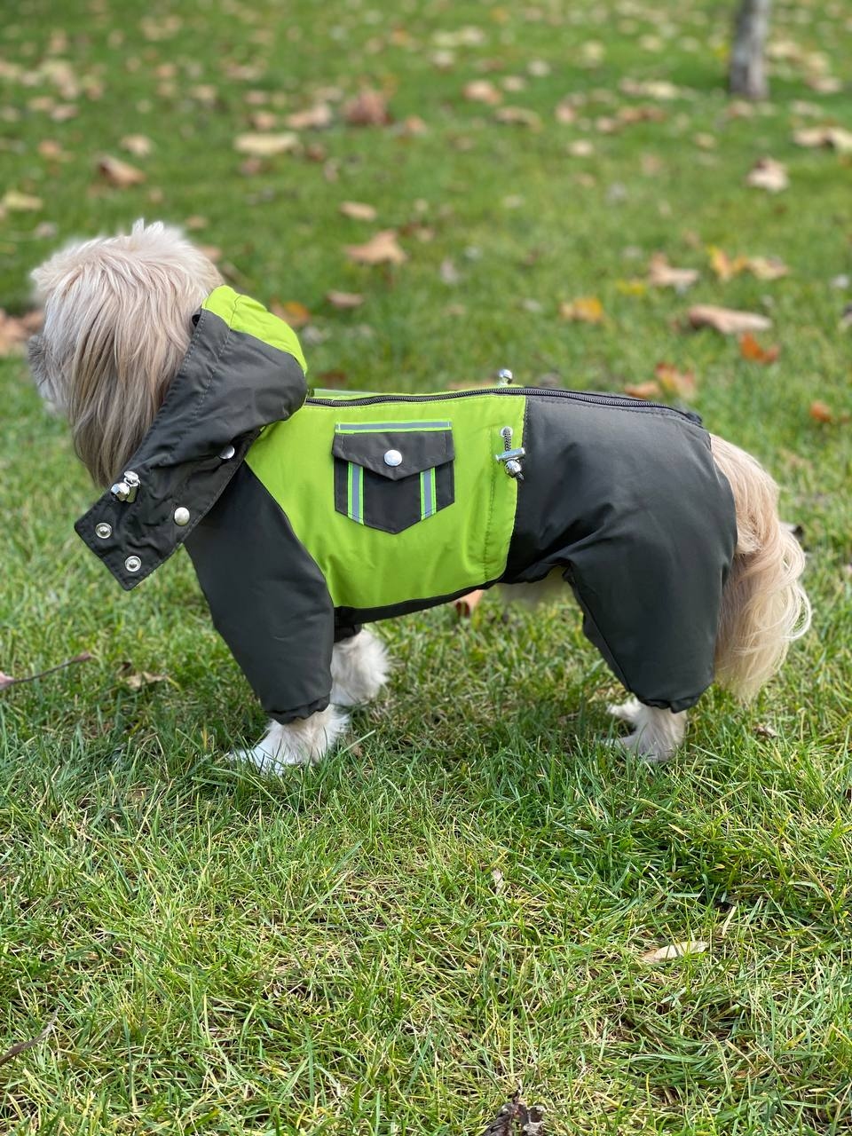 Комбинезон Удача силикон (мальчик)  -  Зимняя одежда для собак 
