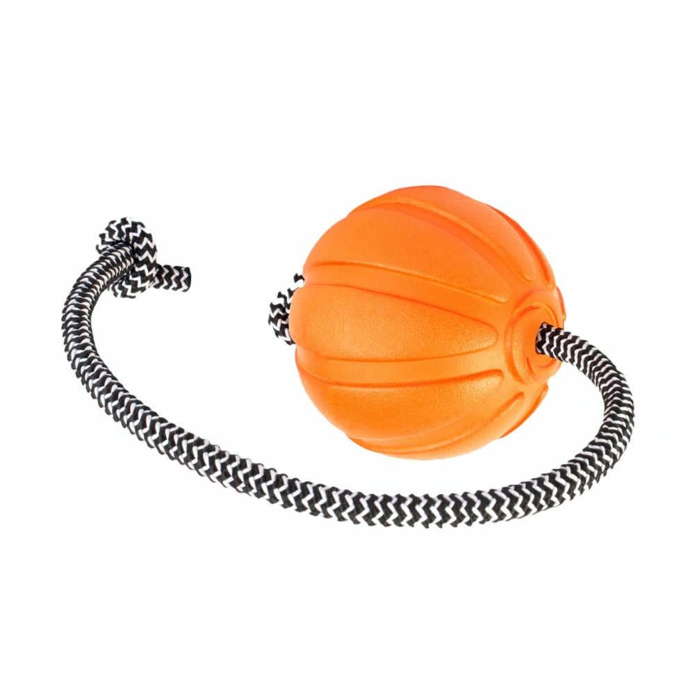 Мячик для собаки ЛАЙКЕР Корд на шнуре 5 см  -  Игрушки для собак - Другие     
