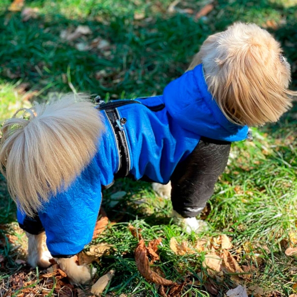 Комбінезон Формула велсофт без силікону (хлопчик)  -  Демісезонний одяг для собак 