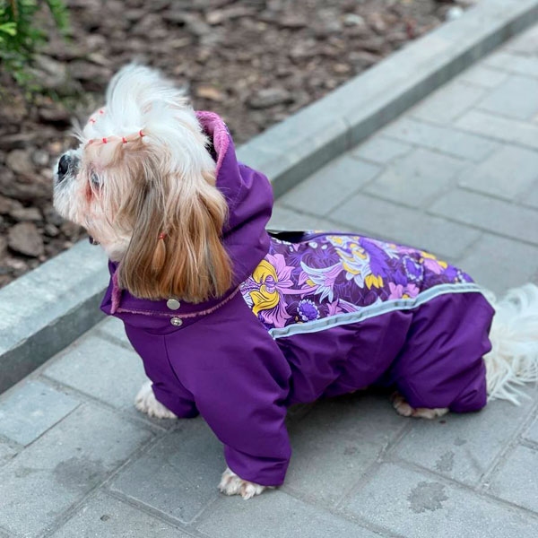 Комбінезон Камелія велсофт без силікону (дівчинка)  - Одяг для собак