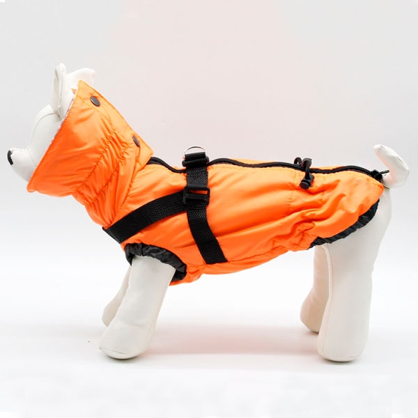Жилет Вайлет оранжевый со шлейкой плащевка на байковой подкладке (девочка), S  -  Одежда для собак -   Для кого: Девочка  