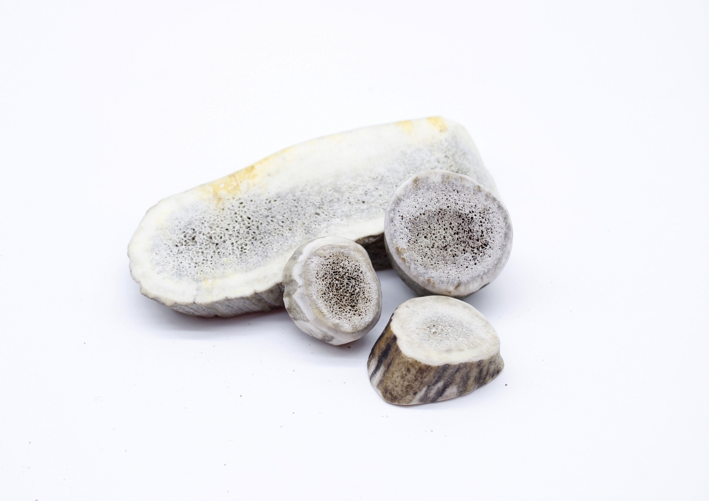 Чипсы Lucky dog из Рога оленя. 0 Чипсы Lucky dog из Рога оленя.  - Similar products