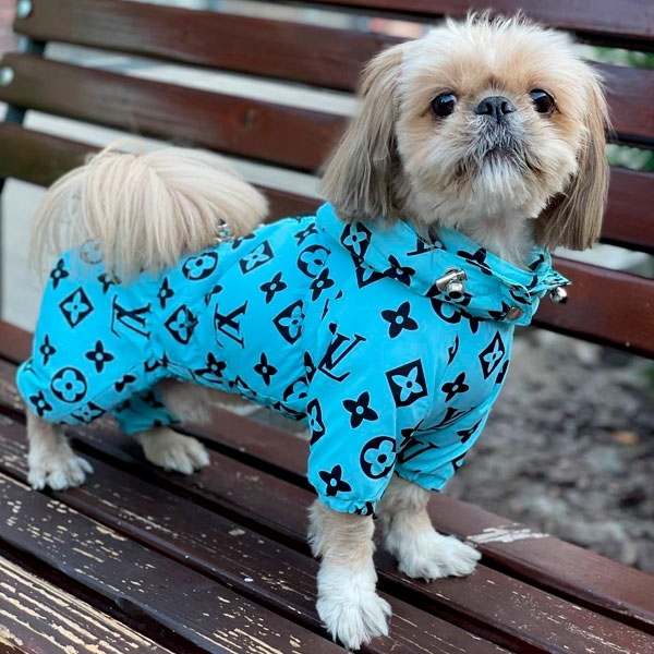 Комбінезон Льюїс велсофт (хлопчик)  - Одяг для собак