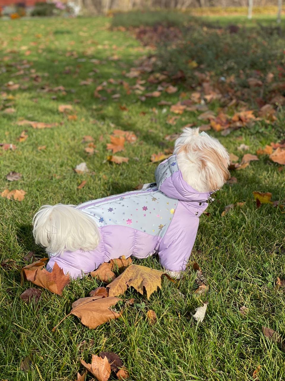 Комбінезон Кришталь на силіконі з хутром (дівчинка)  -  Зимовий одяг для собак 