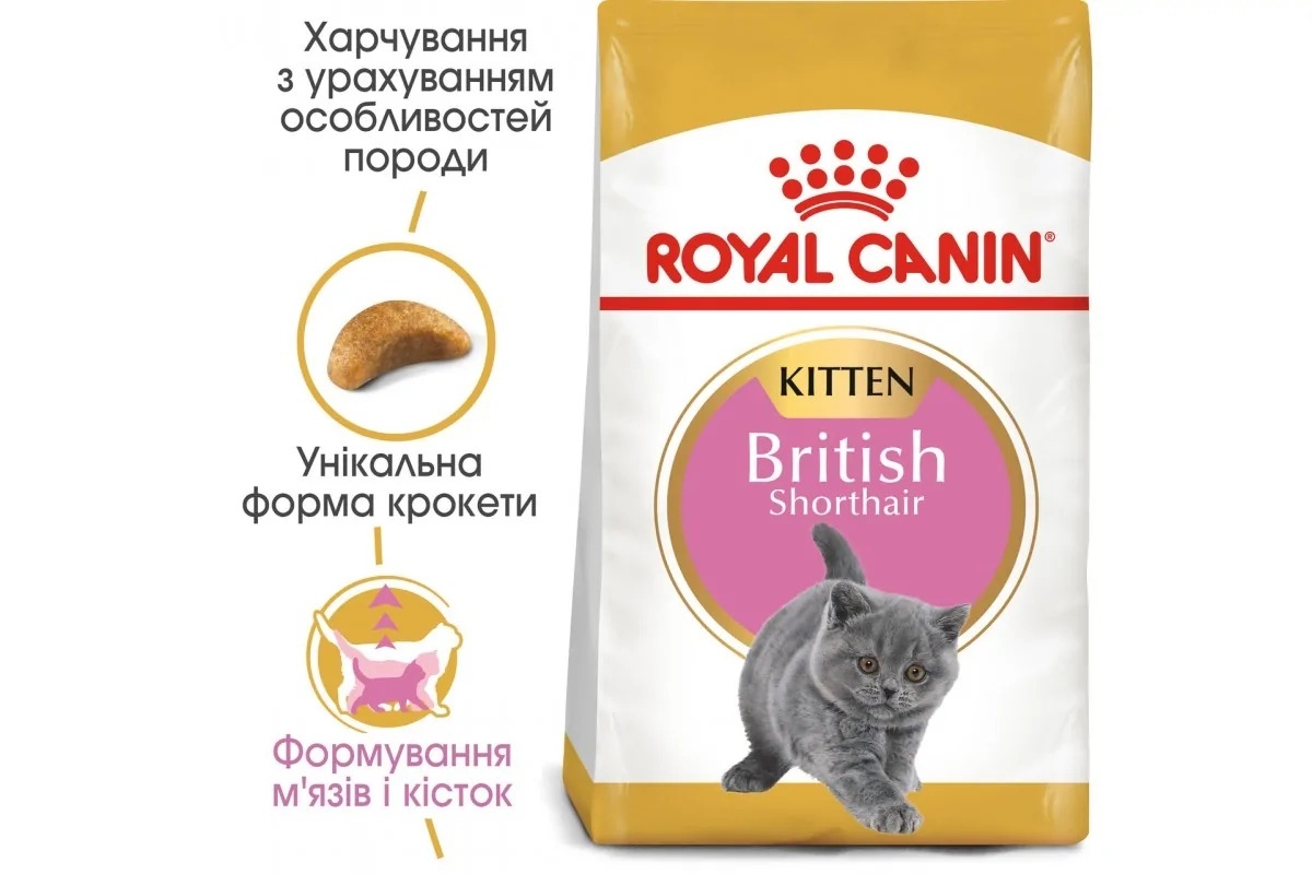 АКЦІЯ Royal Canin British Shorthair Kitten сухий корм для британських короткошерстих кошенят 8+2 кг  - 
