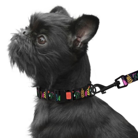 Ошейник Tribal нейлоновый c пластиковой пряжкой Цветы Черный  -  Ошейники для собак BronzeDog     