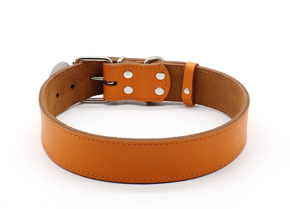 Нашийник Franty Style шкіра 40 мм х 56-66 см  - Similar products