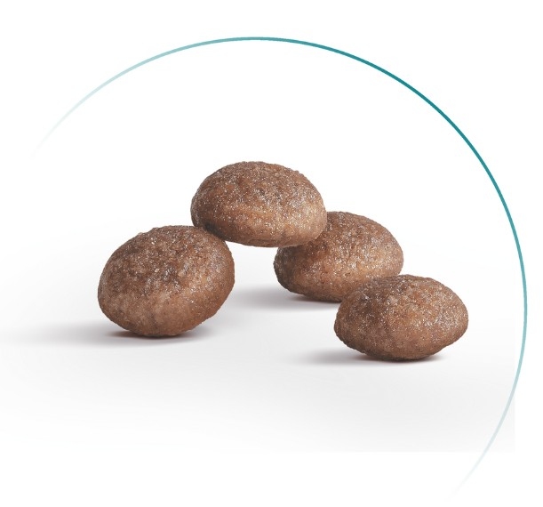 Royal Canin Ageing 11+ Sterilised сухой корм для стерилизованных кошек в возрасте от 11 лет, 2 кг  -  Сухой корм для стерилизованных кошек 