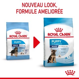 Royal Canin Maxi Puppy для цуценят великих порід  -  Все для цуценят Royal Canin     