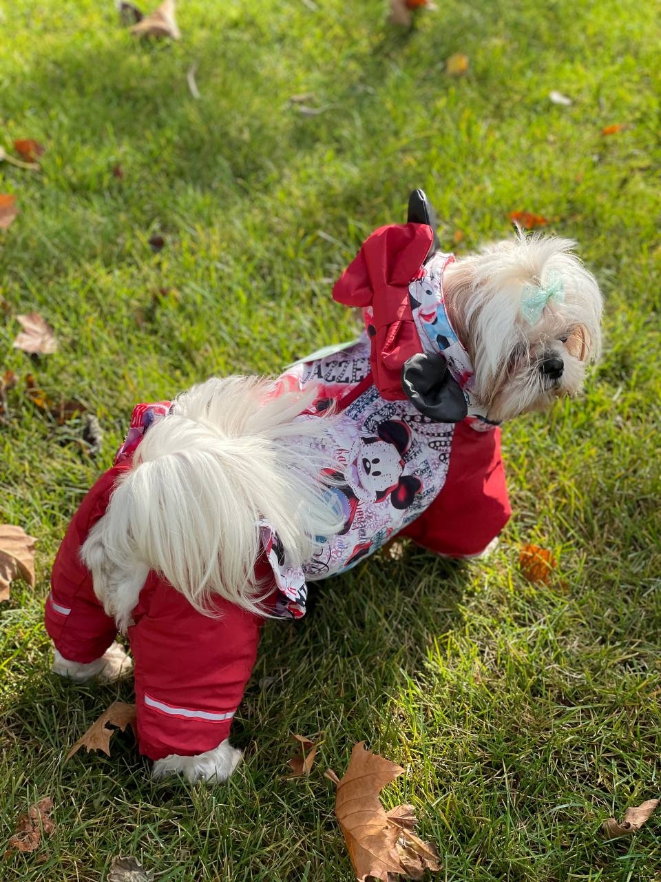 Комбинезон Мультяшка на силиконе (девочка)  -  Зимняя одежда для собак 