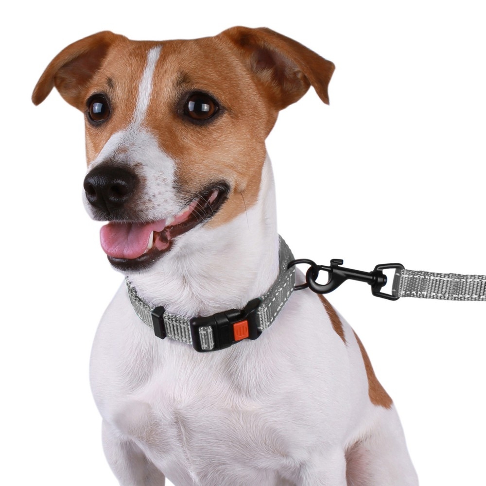 Ошейник для собак BronzeDog серый пластиковый фастекс 1311 51Т  -  Амуниция для собак -   Материал: Нейлон  