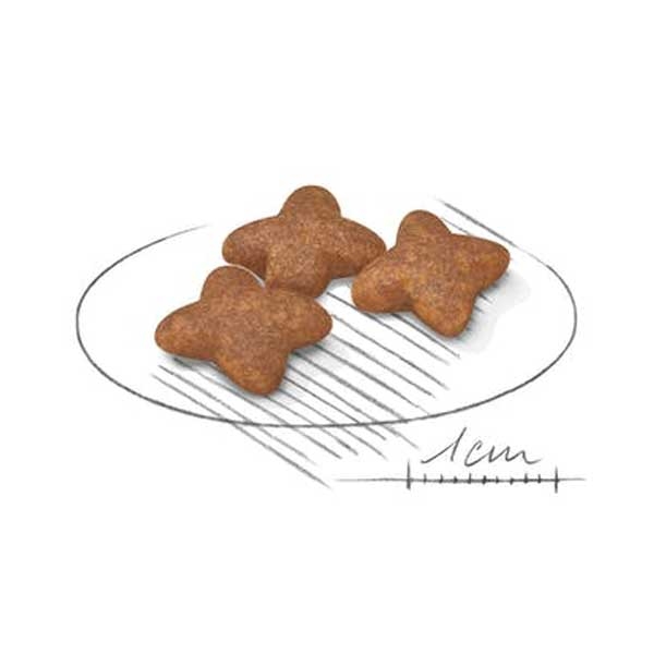 Royal Canin MINI ADULT сухой корм для собак мелких пород  -  Сухой корм для собак -   Вес упаковки: до 1 кг  
