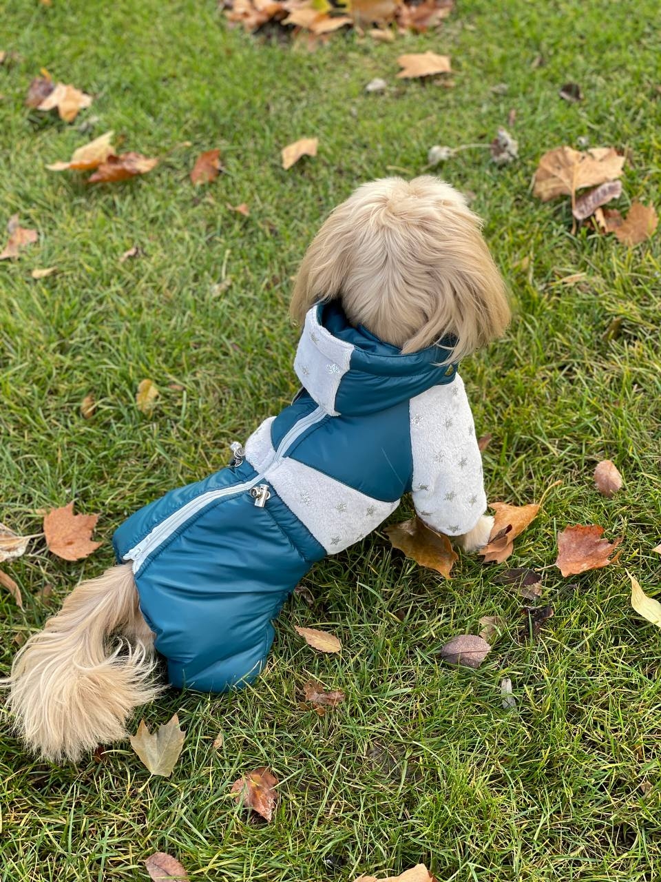 Комбінезон Тайлер на силіконі (хлопчик)  -  Зимовий одяг для собак 