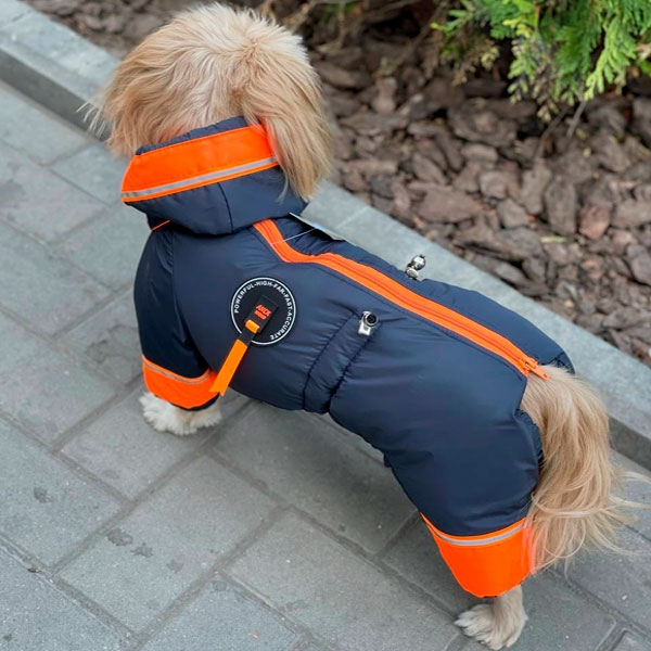 Комбинезон Красавец силикон (мальчик)  -  Одежда для собак -   Размер одежды S  