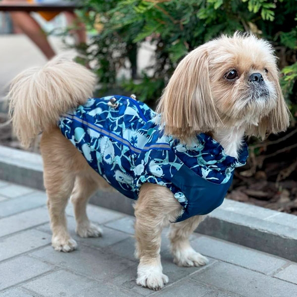Жилет Ёжик велсофт без силикона (мальчик)  -  Демисезонная одежда для собак 