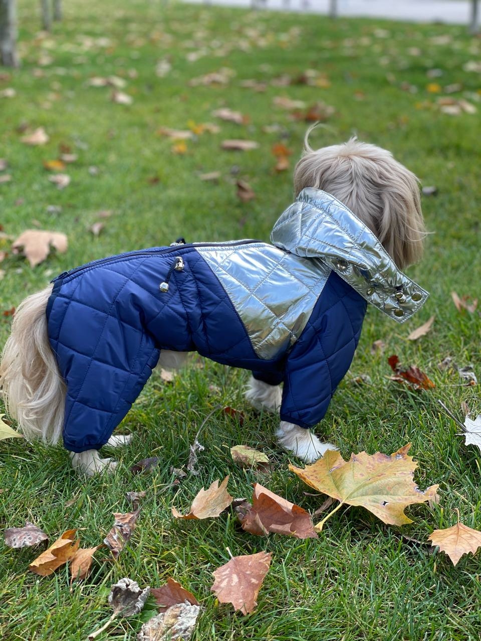 Комбінезон Лунтик стьобаний силікон (хлопчик)  -  Зимовий одяг для собак 