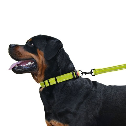 Ошейник ACTIVE нейлоновый со светоотражением Салатовый  -  Ошейники для собак -   Размер: Крупные  