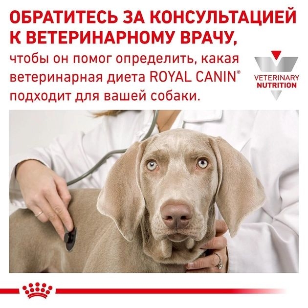 Сухий корм Royal Canin Anallergenic Small Dog - ветеринарна дієта для собак малих порід схильних до алергії 1,5 кг  - Гіпоалергенний корм для собак