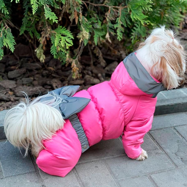 Комбінезон Бантик силікон (дівчинка)  -  Одяг для собак -   Матеріал Силікон  