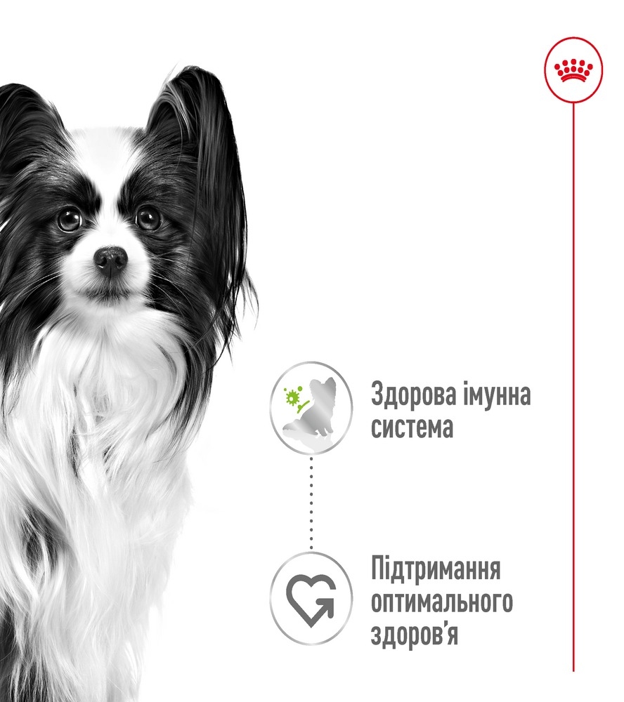 АКЦИЯ Royal Canin X-small Adult in gravy влажный корм для взрослых собак миниатюрных размеров 85 гр  -  Влажный корм для собак -   Ингредиент: Птица  