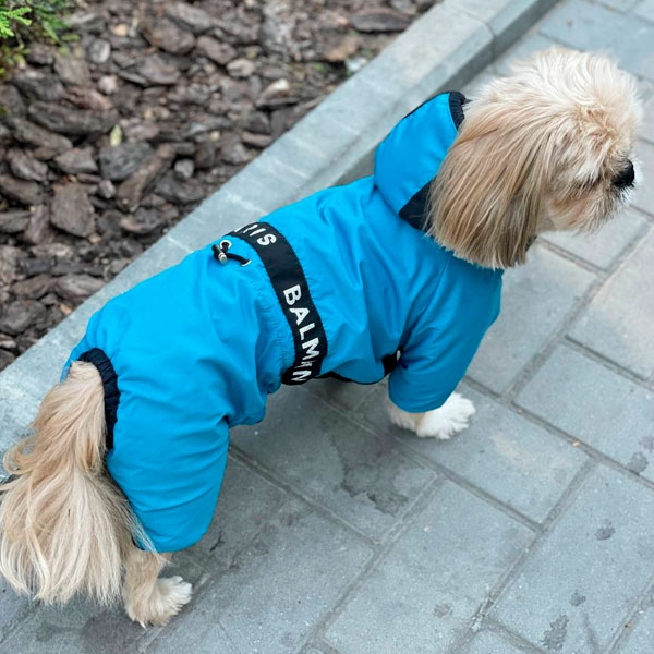 Комбинезон Бальман велсофт (мальчик)  -  Демисезонная одежда для собак 