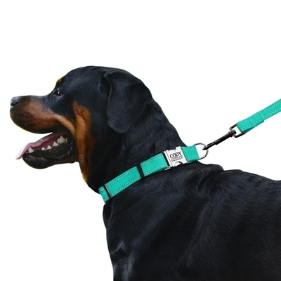 Ошейник ACTIVE нейлоновый со светоотражением и металлической пряжкой Бирюзовый  -  Ошейники для собак -   Материал: Нейлон  