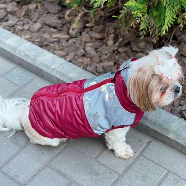 Жилет Бетті велсофт (дівчинка)  -  Одяг для собак -   Розмір одягу XXS  