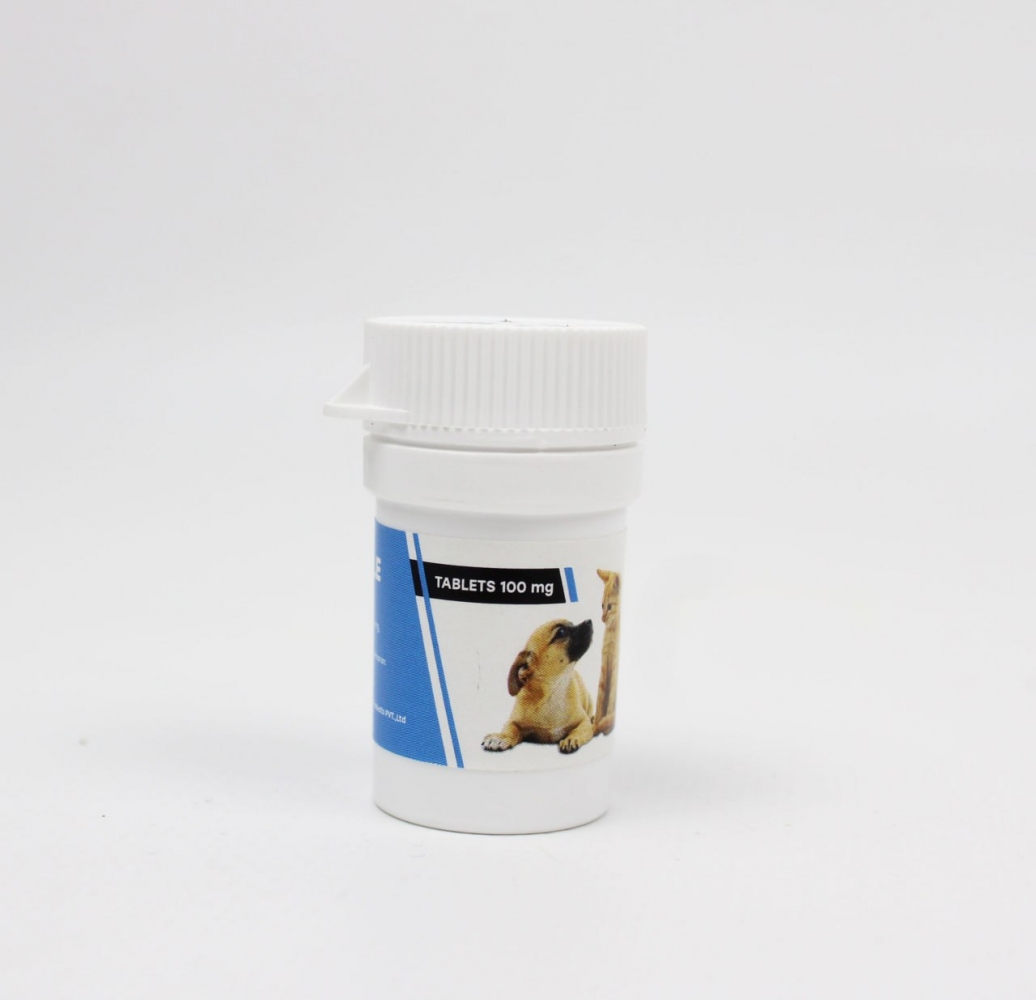 Итраконазол 100 мг, 30 тб противогрибковое средство  - Противогрибковые препараты для собак