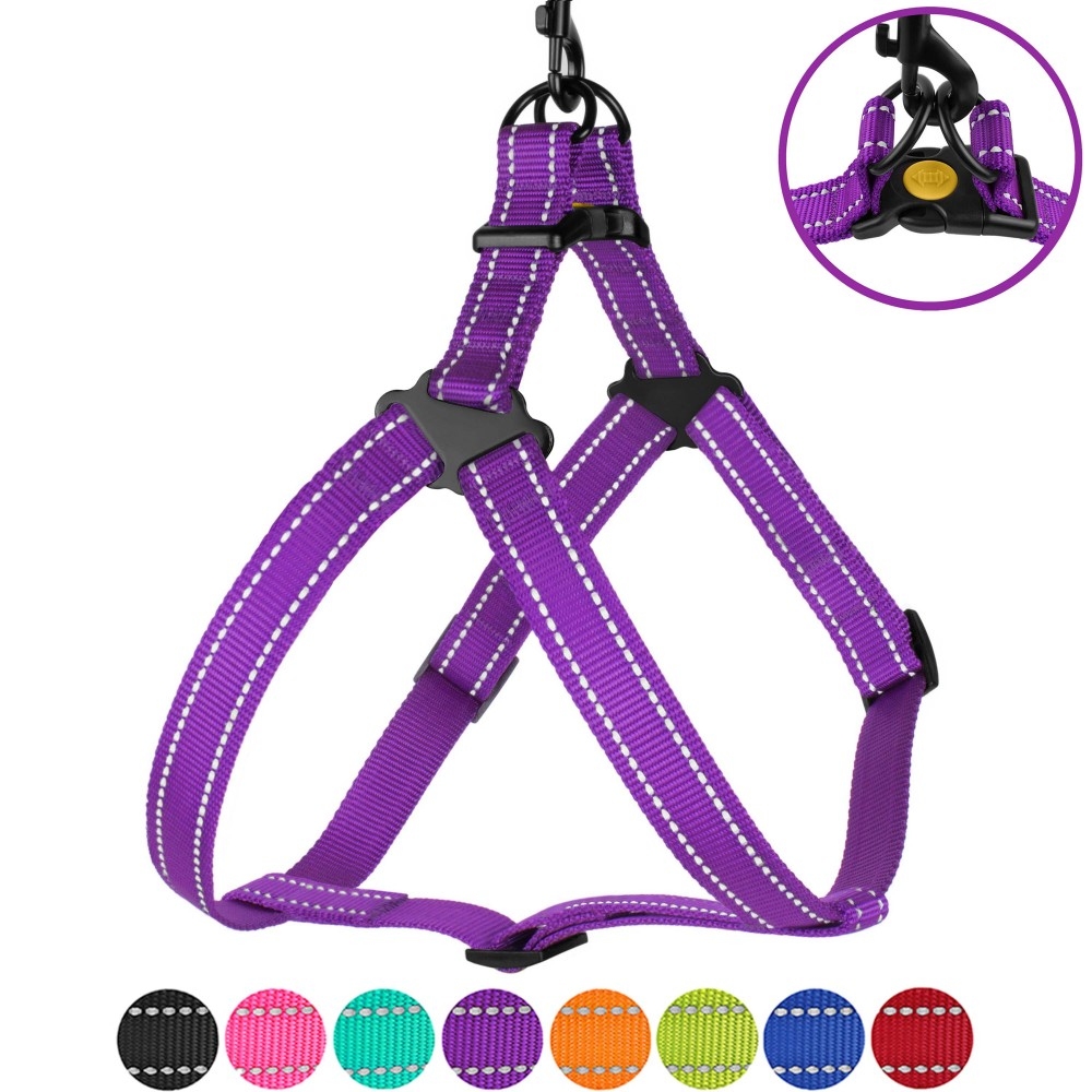 Шлея ACTIVE нейлоновая со светоотражением Фиолетовая  -  Шлеи для собак -   Размер: Средние  
