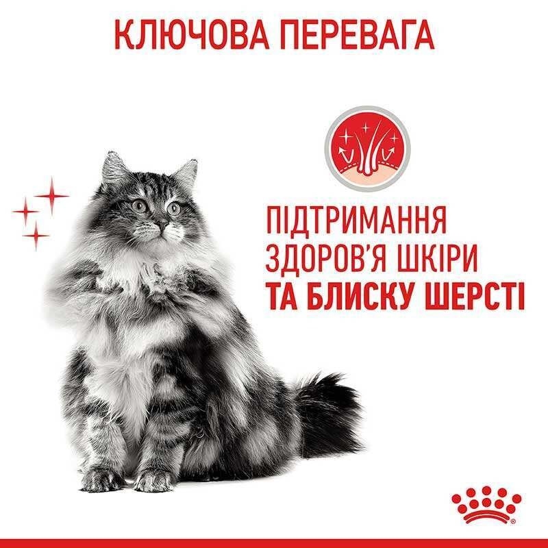 АКЦІЯ Royal Canin Hair & Skin Care з куркою сухий корм для котів з проблемною вовною 4+4 кг  - 