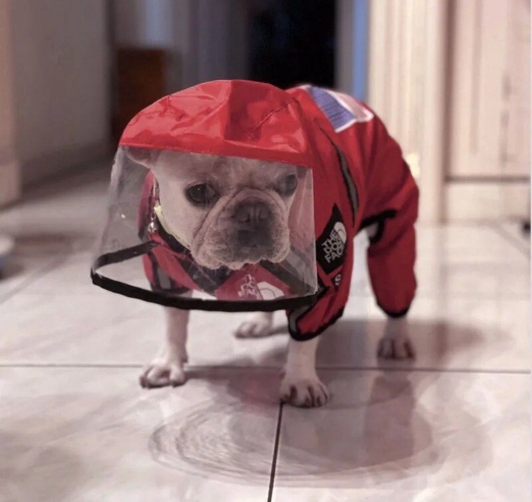 Дождевик USA красный  - Similar products