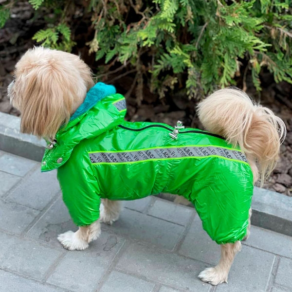 Комбинезон Джой велсофт (мальчик)  -  Одежда для собак -   Размер одежды S3  