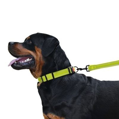 Поводок ACTIVE нейлоновый со светоотражением Салатовый 152 см  -  Поводки для собак BronzeDog     