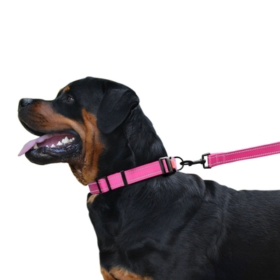 Ошейник ACTIVE нейлоновый со светоотражением Розовый  -  Амуниция для собак BronzeDog     