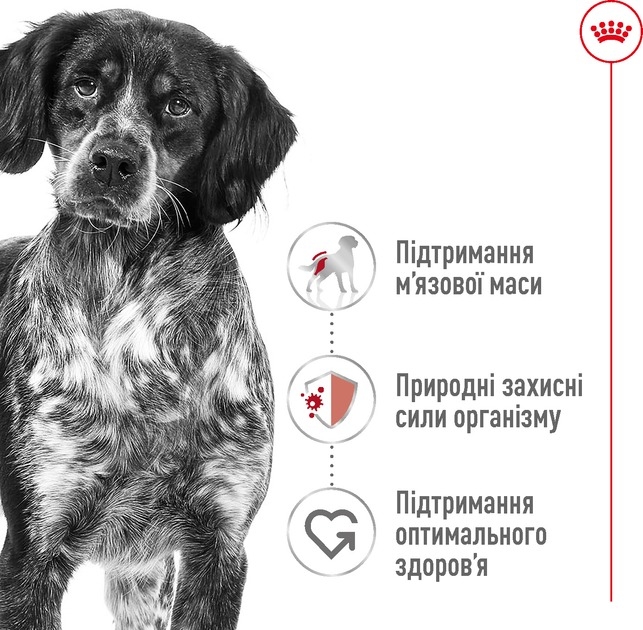 АКЦИЯ Royal Canin Medium Adult сухой корм для взрослых собак средних пород старше 12 месяцев 4 кг + миска в путешествие  - Similar products