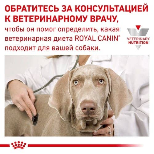 Royal Canin GASTRO INTESTINAL (Роял Канан) для собак при заболеваниях ЖКТ 400г  -  Влажный корм для собак -   Ингредиент: Свинина  