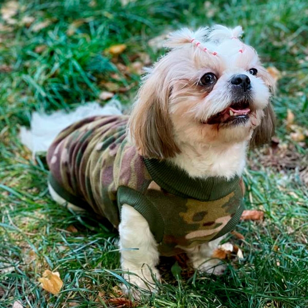 Флиска Толстовка для собак на флисе мульт  -  Одежда для собак -   Размер одежды S  