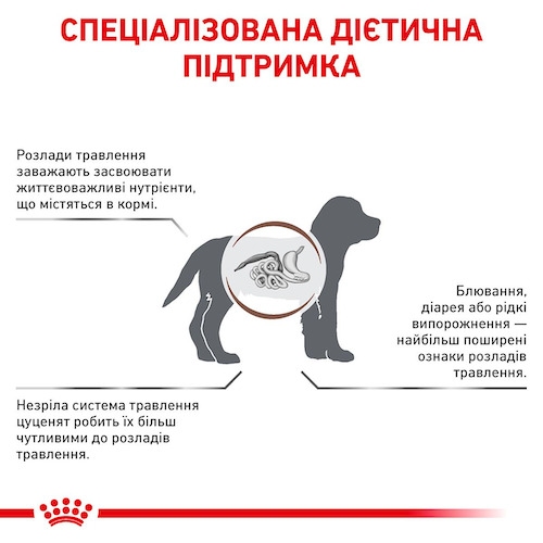 Royal Canin GASTRO INTESTINAL JUNIOR для цуценят при порушеннях травлення  - Дієтичний  лікувальний корм для собак