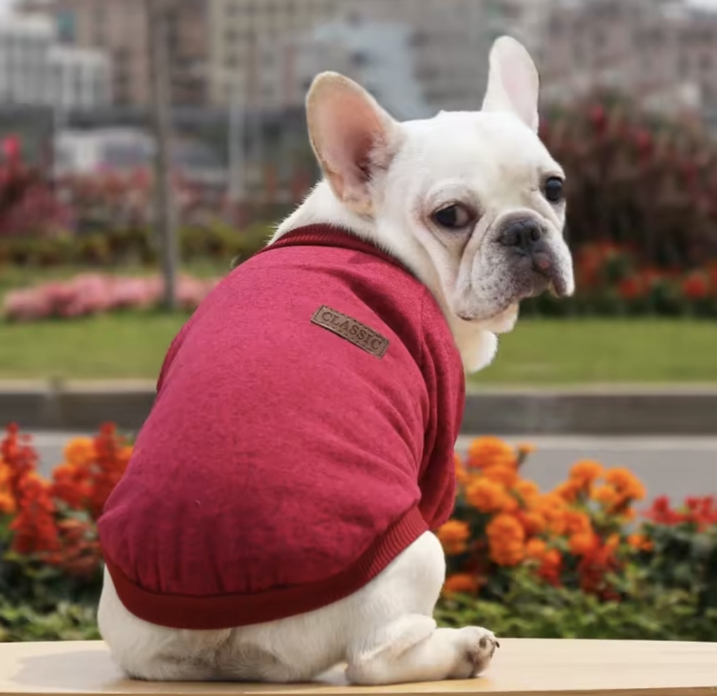 Світшот Classic вишневий  -  Собаки -    