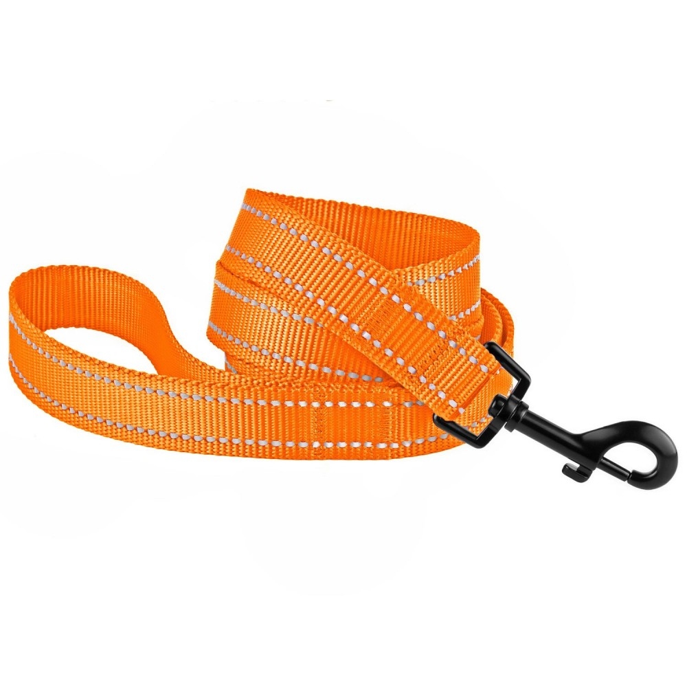 Поводок для собаки ACTIVE нейлоновый со светоотражением Оранжевый 152 см  -  Поводки для собак BronzeDog     