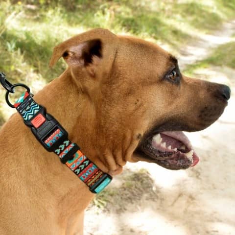 Ошейник Tribal нейлоновый c пластиковой пряжкой Ацтеки  -  Амуниция для собак -   Материал: Нейлон  