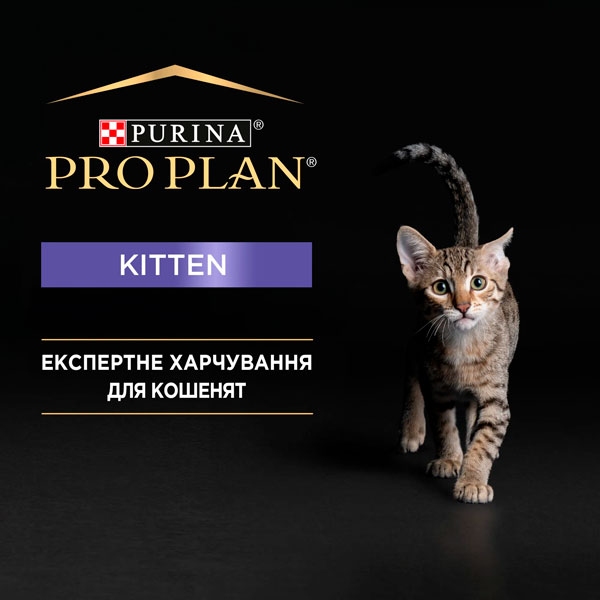 Pro Plan Junior паштет для котят с курицей, 85 г  -  Корм для сиамских кошек -    