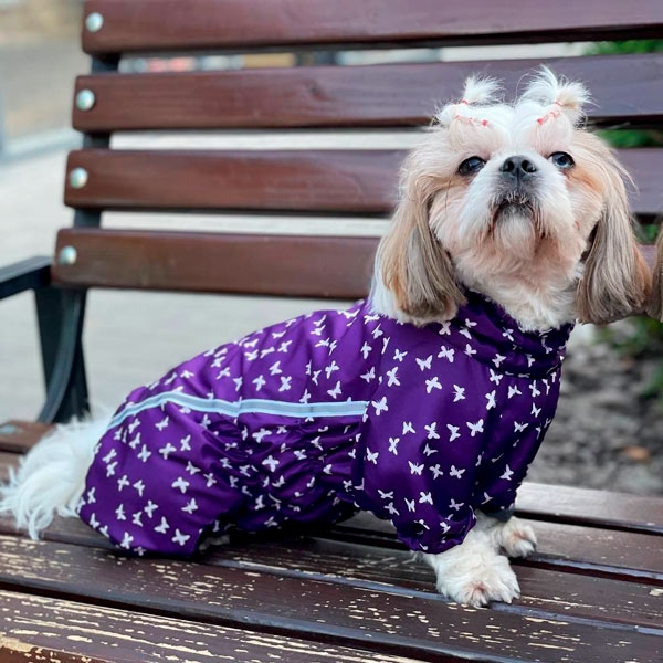 Комбинезон Куколка на тонкой подкладке (девочка)  -  Демисезонная одежда для собак 