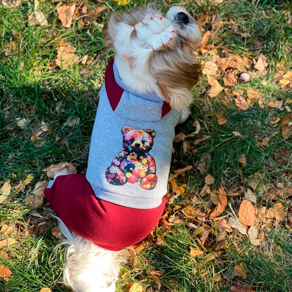 Комбинезон Белла трикотаж на флисе (девочка)  -  Демисезонная одежда для собак 